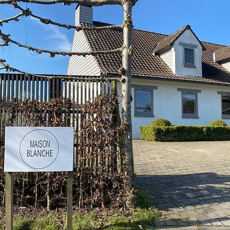 B&B Maison Blanche Gent Bagian luar foto