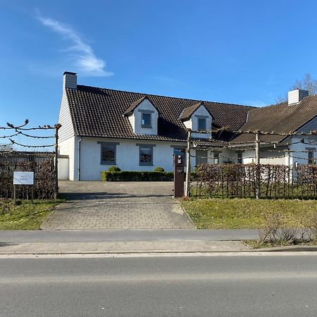 B&B Maison Blanche Gent Bagian luar foto